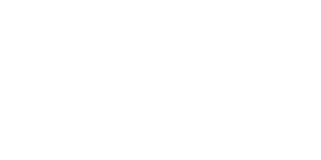 Grupo Villegas